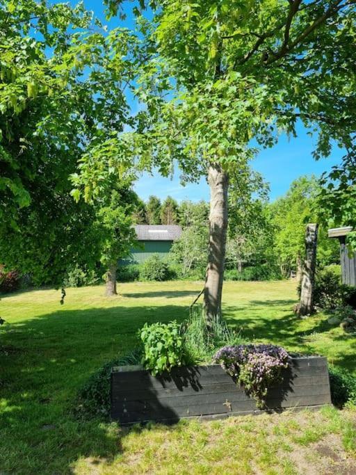 Willkommen In Frifelt Naehe Romo Mit Wunderschoenen Garten Skærbæk エクステリア 写真
